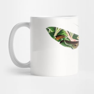 Oleander hawk moth Mug